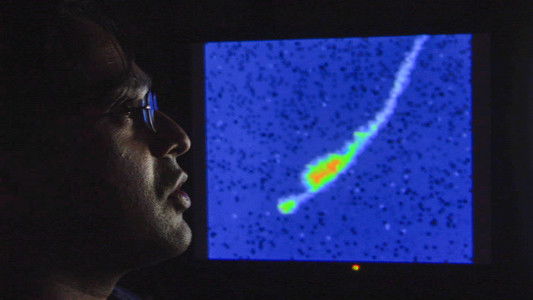 Auf der Suche nach dem Gedächtnis