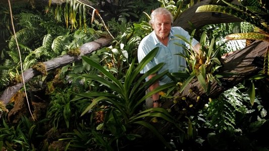 Kingdom of Plants 3D