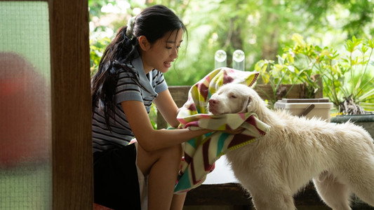 โกฮัง..หัวใจโกโฮม
