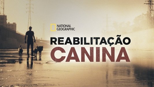 Dog: Impossible