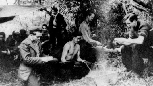 Das Reich : une division SS en France