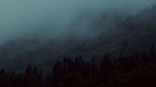 Ex Machina