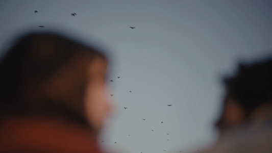 Five Seconds Flat, the Film