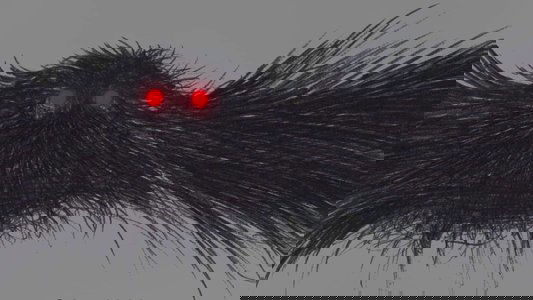 The Mothman of Point Pleasant