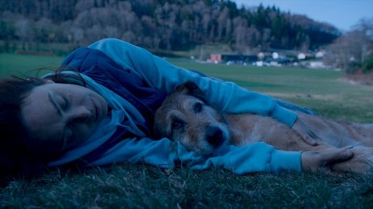 Le Procès du Chien