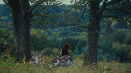 The Hunger Games: Sunrise on the Reaping