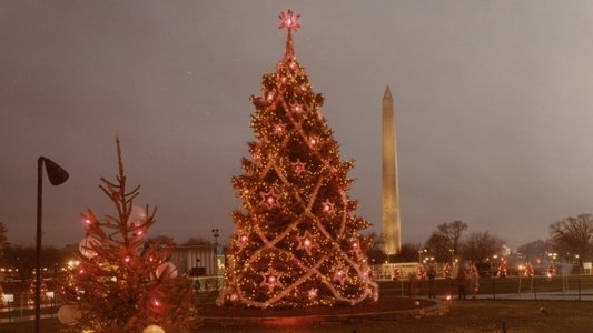 The National Christmas Tree, A Century of Celebration