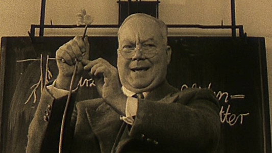 Tadellöser & Wolff