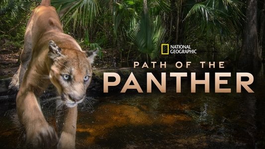 Path of the Panther