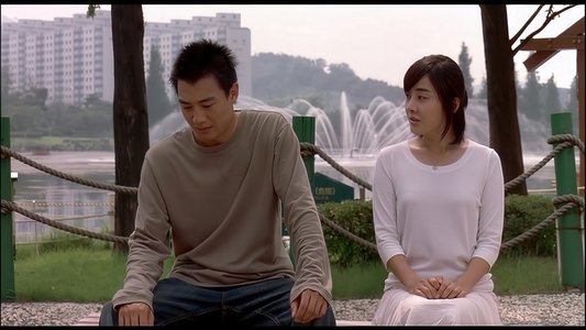 해바라기