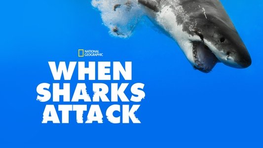 When Sharks Attack