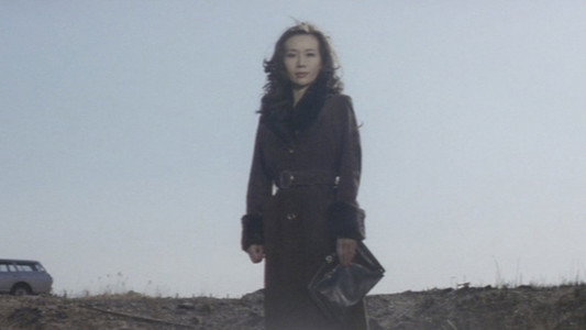 ズームアップ　ビニール本の女