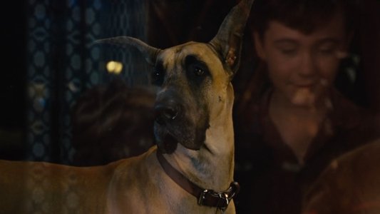 Marmaduke