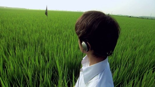 リリイ・シュシュのすべて