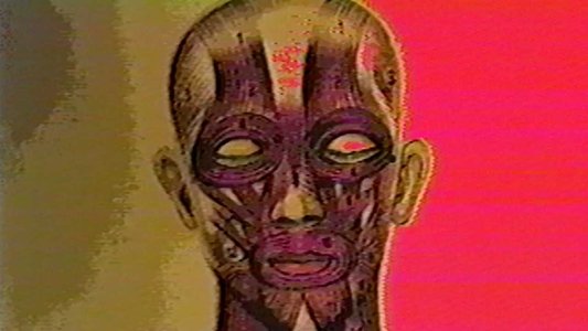 Suroh: Alien Hitchhiker