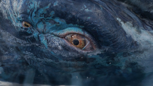Avatar: The Way of Water