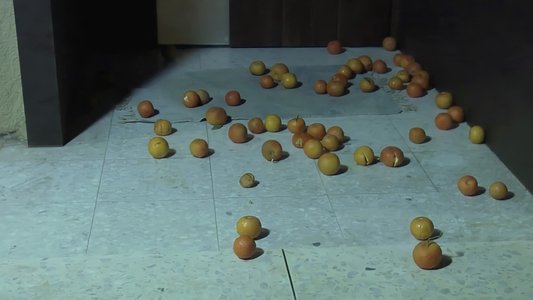 برتقال