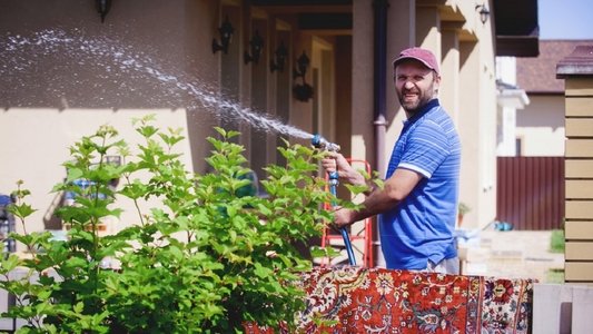 Скажене весілля