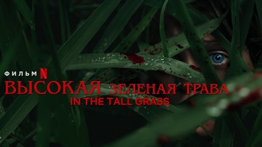 In the Tall Grass