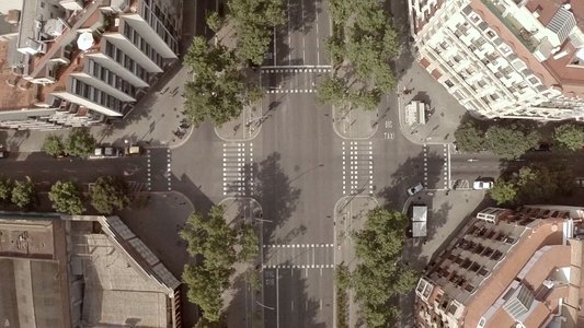 Un día vi 10 000 elefantes