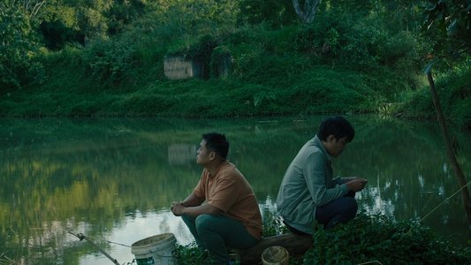 Bên Trong Vỏ Kén Vàng