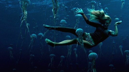 The Shallows