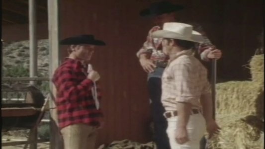 Cowboy Country