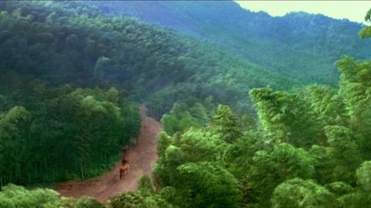 十面埋伏