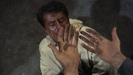 The Man Who Knew Too Much