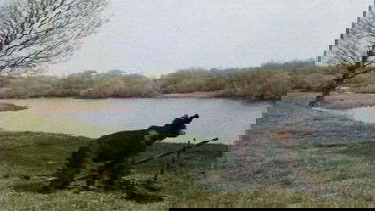 Мишка, Малыш и другие