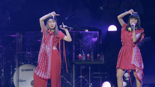 Little Glee Monster Live in 武道館～はじまりのうた～