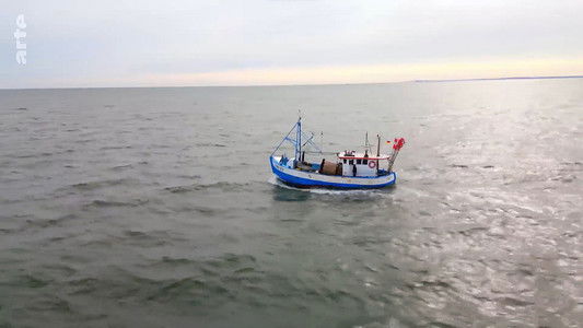 Rügen - Weiße Felsen, grüne Wälder
