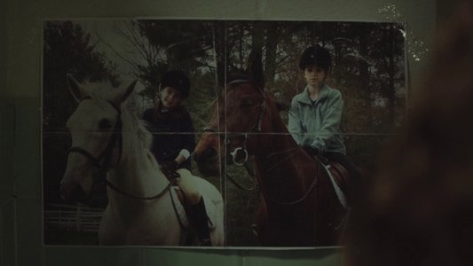Thoroughbreds
