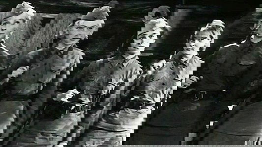 ...А зори здесь тихие
