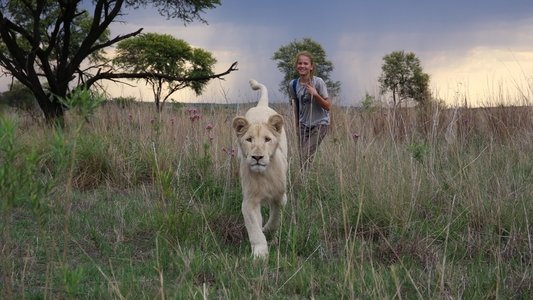 Mia et le lion blanc