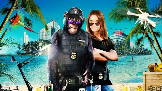 C.I.Ape