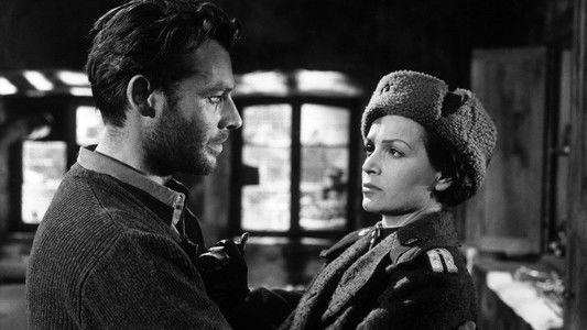 Der Arzt von Stalingrad