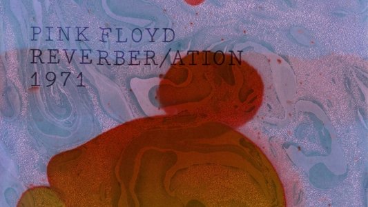 Pink Floyd - The Early Years Vol 5: 1971: Reverber/ation