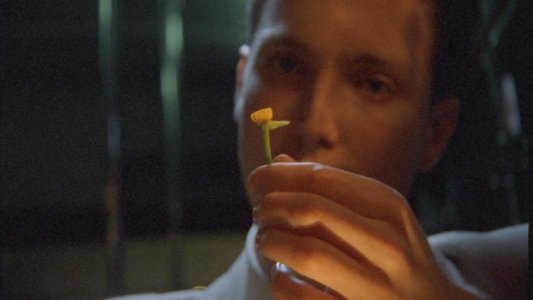 The Man Who Loved Flowers