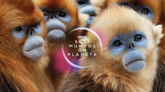 Seven Worlds, One Planet