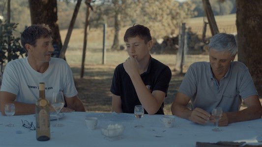 Se souvenir des tournesols