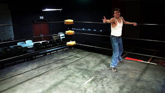 A Meowy Christmas Vacation