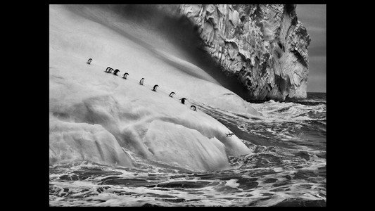 Le sel de la terre