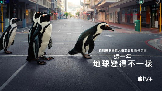 The Year Earth Changed