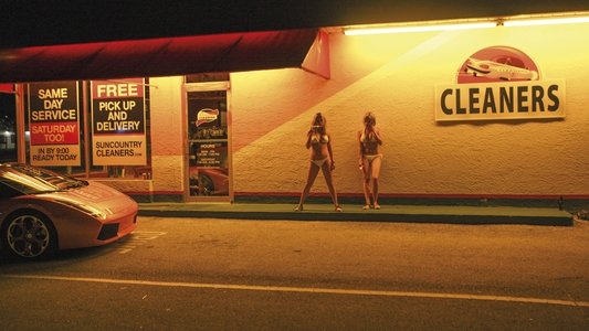 Spring Breakers