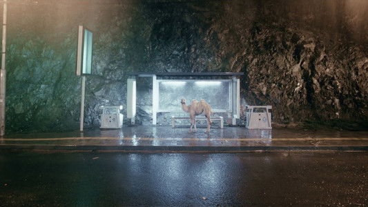 Чимээгүй хотын жолооч