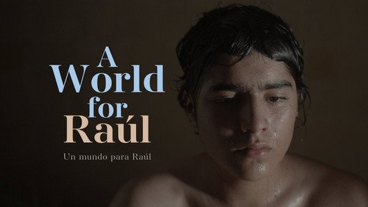 Un mundo para Raúl