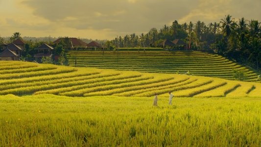 #TemanTapiMenikah 2