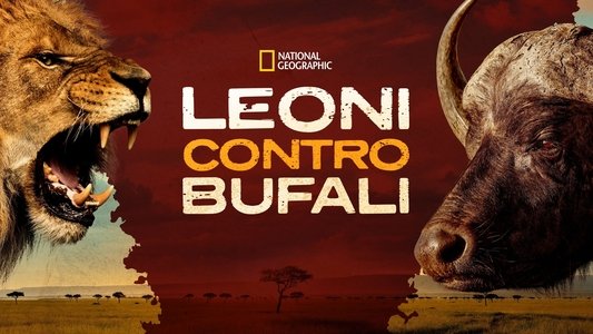 Blood Rivals: Lion vs Buffalo