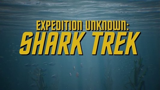 Expedition Unknown: Shark Trek